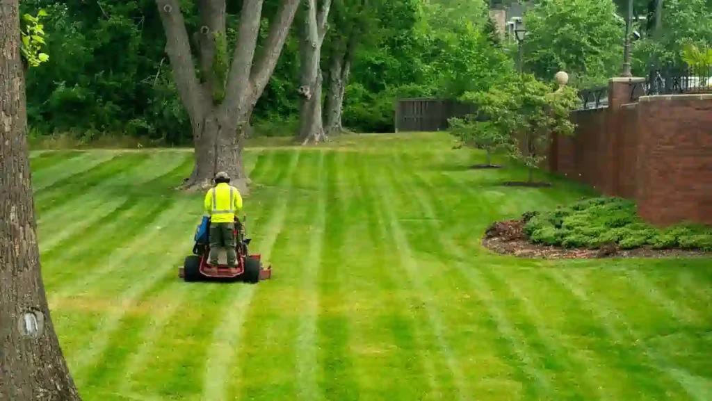 How Often Should Commercial Lawns Be Mowed to Keep Properties Professional
