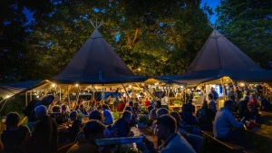 outdoor festival activities